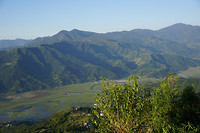 DSC03501