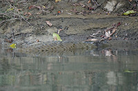 DSC03640