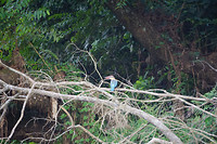 DSC03644