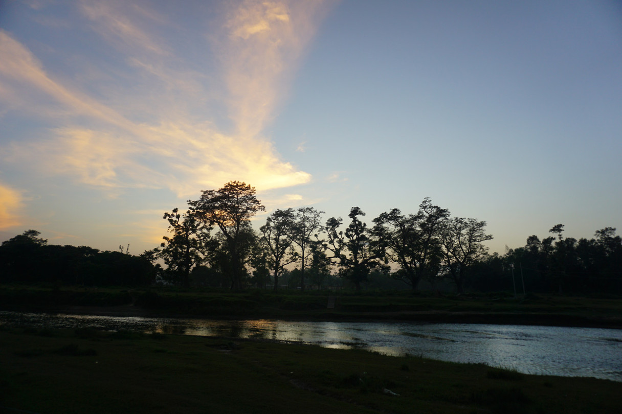 DSC03706