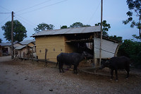 DSC03714