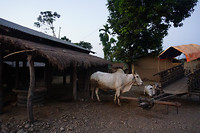 DSC03715