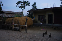 DSC03716