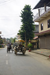DSC03773