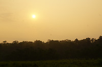DSC03891