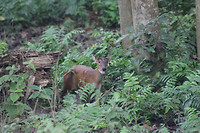 IMG_4846