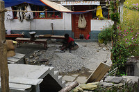 DSC03335