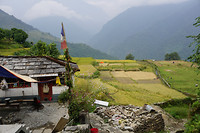 DSC03337