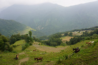 DSC03344