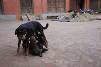 Bhaktapur3961