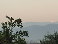 IMG_8423