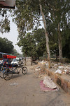Delhi574