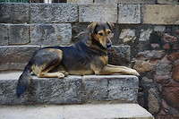 DSC05771