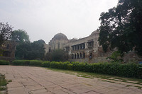 DSC05784