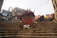 DSC05825