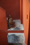 DSC05988