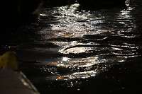 DSC06015