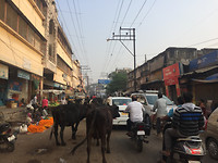 IMG_8672