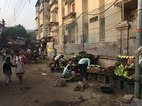 IMG_8677