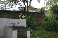 DSC06430