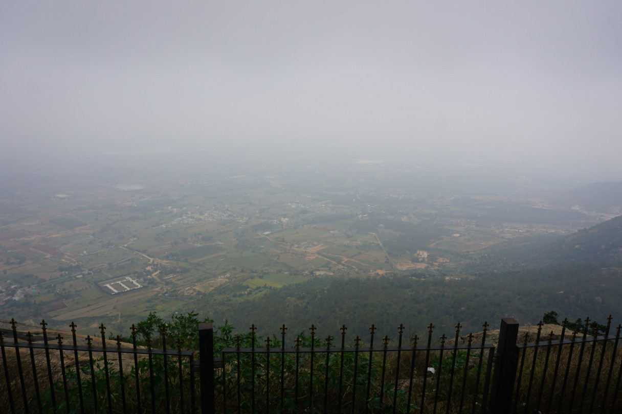 DSC06444