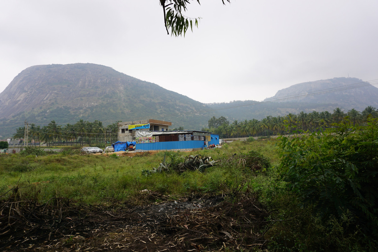 DSC06450