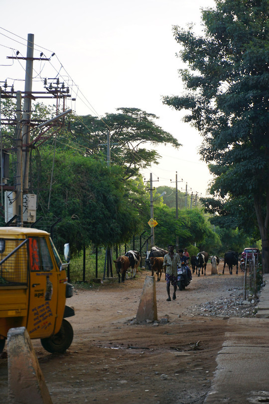 DSC06456