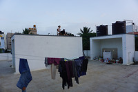 DSC06461