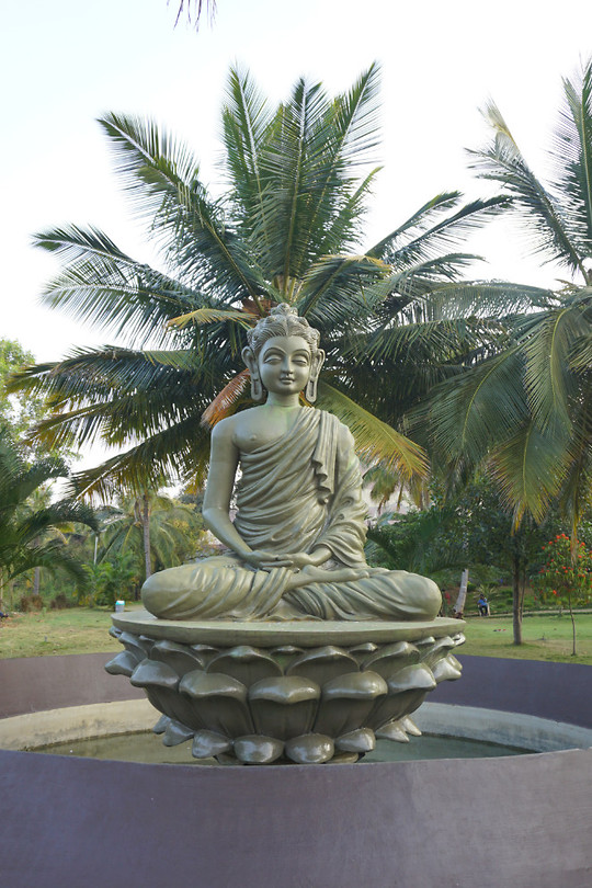 DSC06691