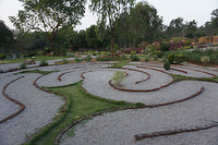 DSC06708