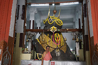 DSC06746