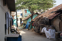 DSC07440
