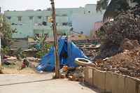 DSC07491