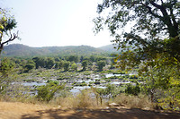 DSC07565