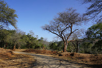 DSC07569