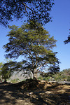 DSC07608