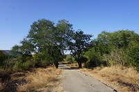 DSC07635