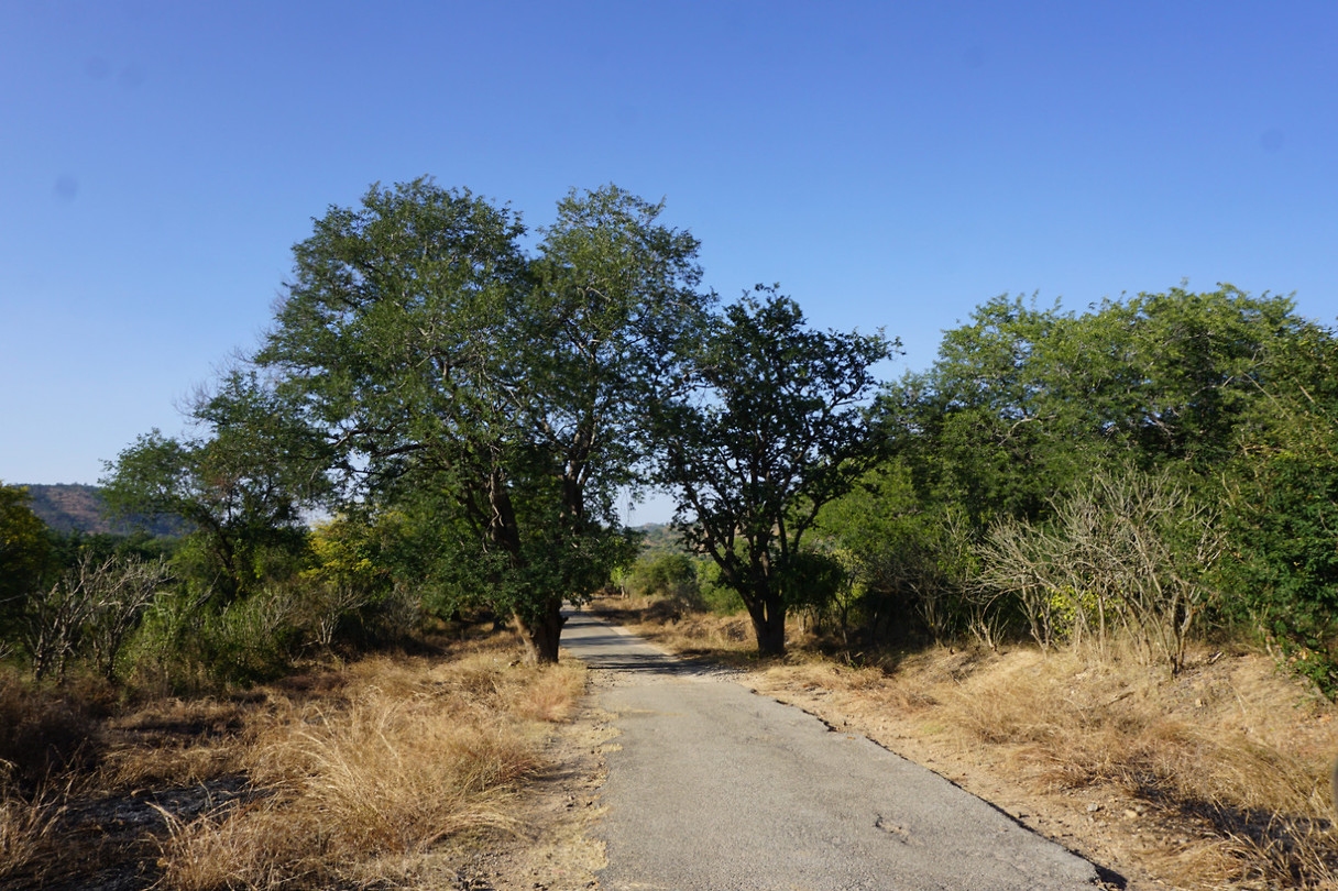 DSC07635