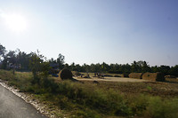 DSC07645