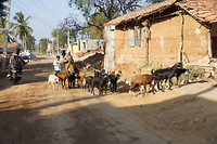 DSC07652