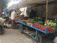 IMG_9468
