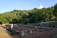 DSC08164