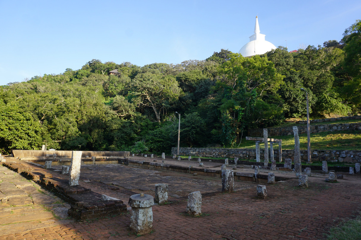DSC08164