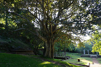 DSC08166