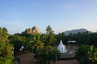 DSC08178
