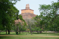 DSC08236