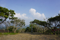 DSC08309