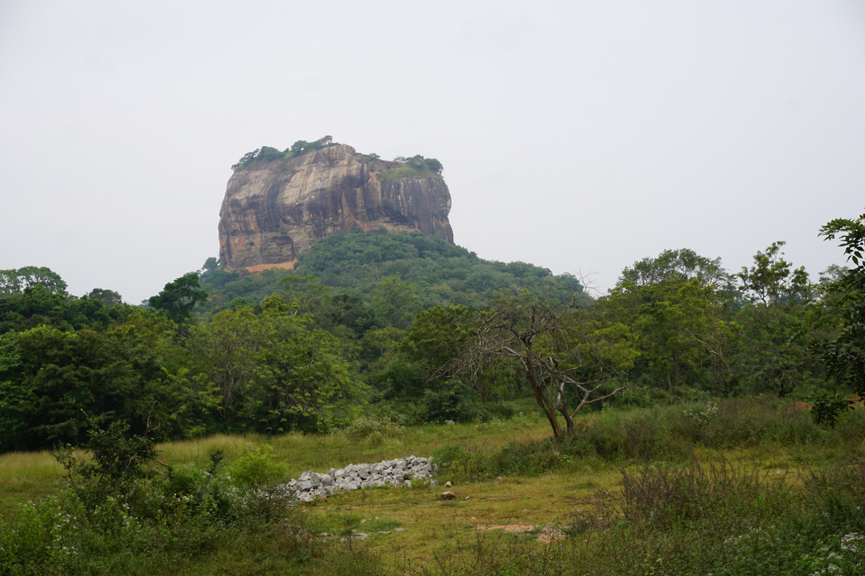 DSC08390