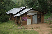 DSC08391