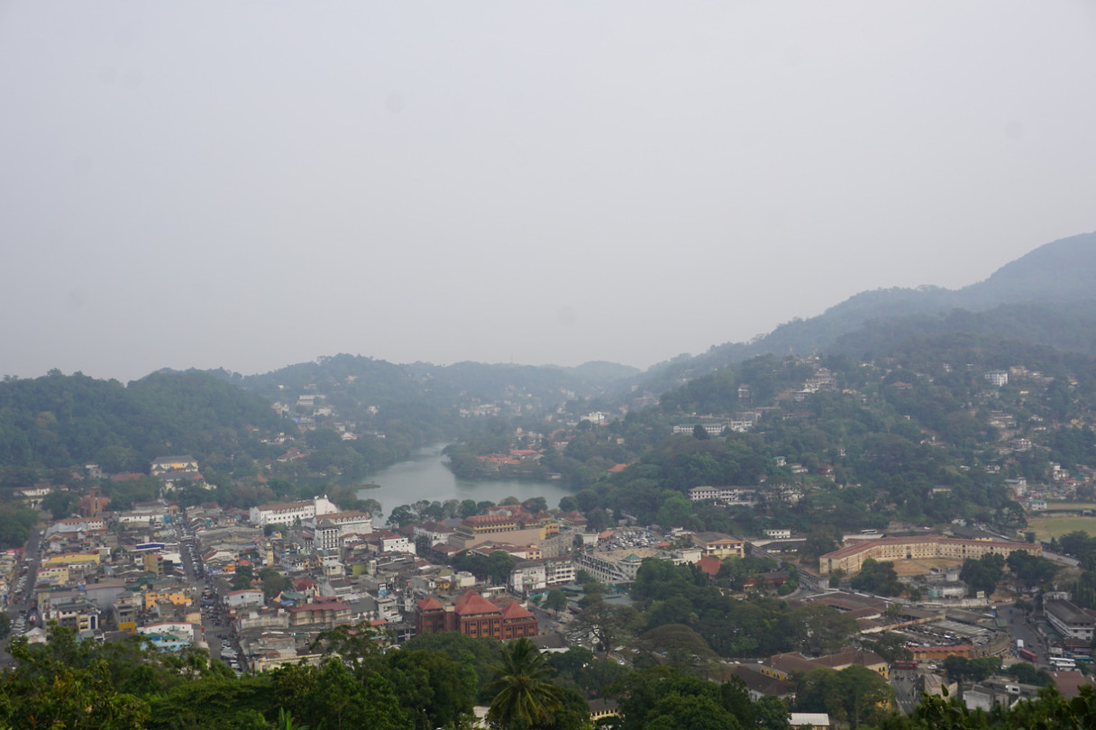 DSC08411